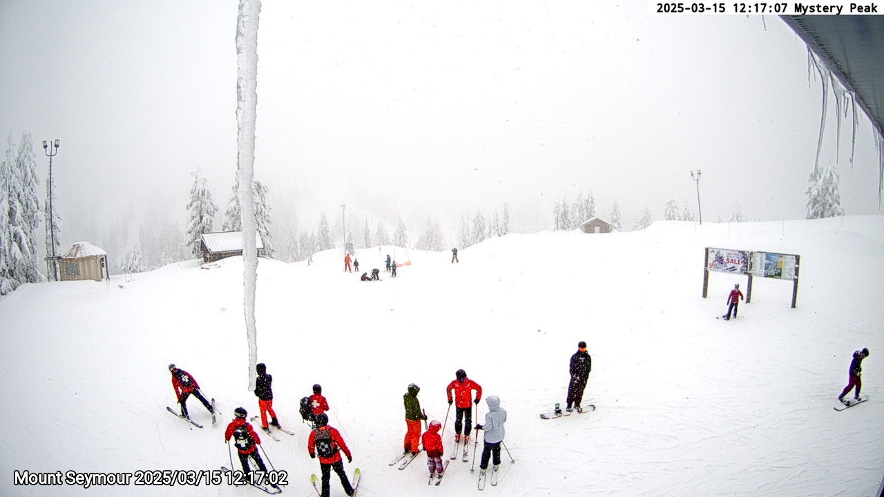 Webcam frame from Mount Seymour at 2025/03/15 12:00