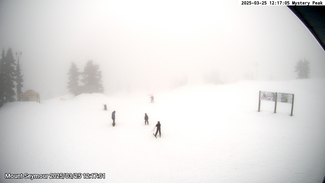 Webcam frame from Mount Seymour at 2025/03/25 12:00