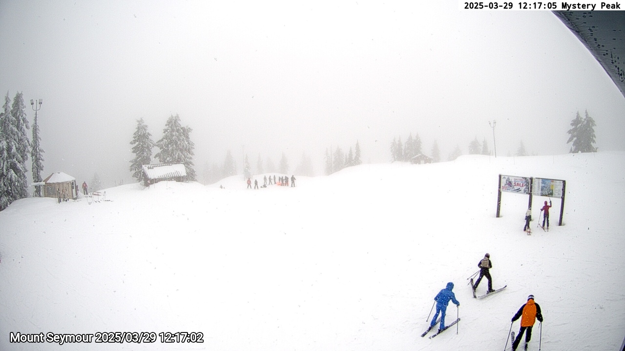 Webcam frame from Mount Seymour at 2025/03/29 12:00