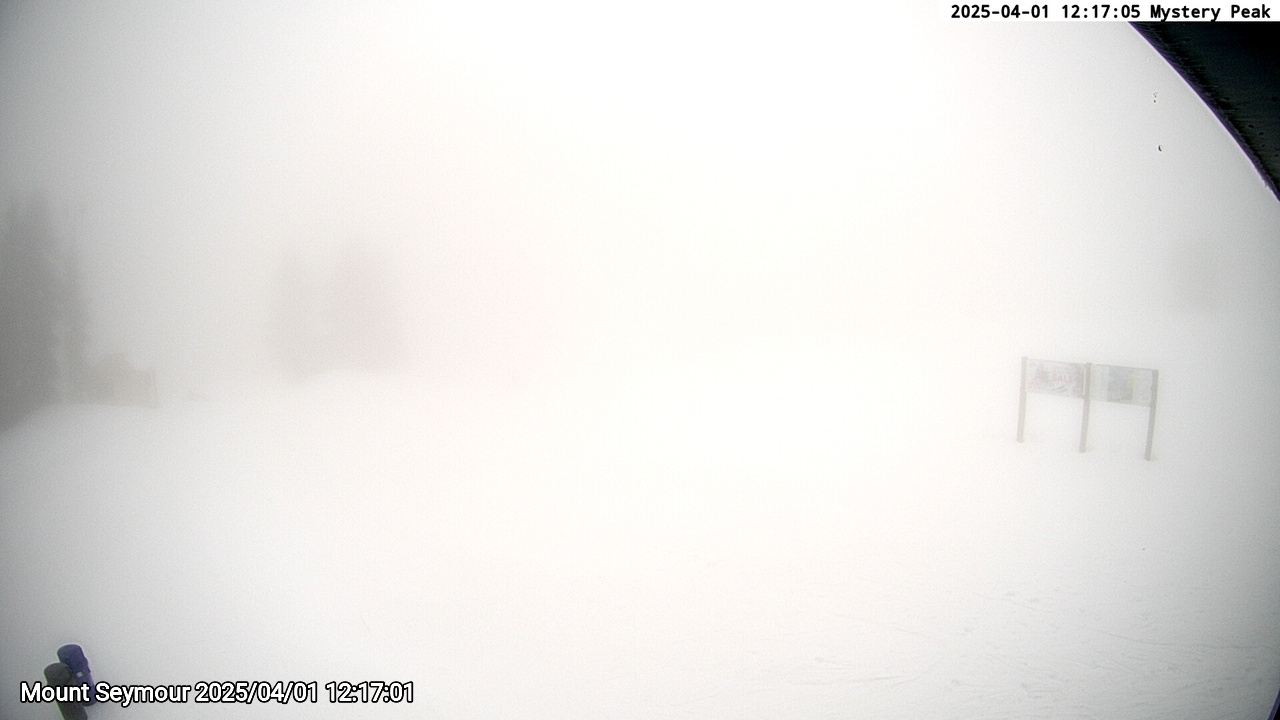 Webcam frame from Mount Seymour at 2025/04/01 12:00