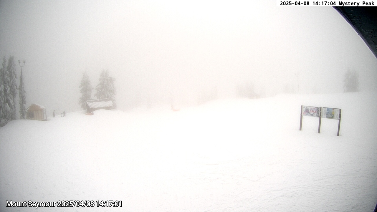 Webcam frame from Mount Seymour on 2025/04/08