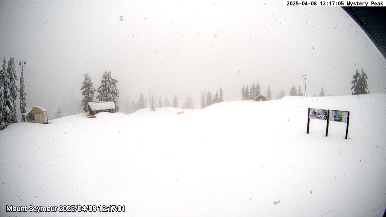 Webcam frame from Mount Seymour at 2025/04/08 12:00