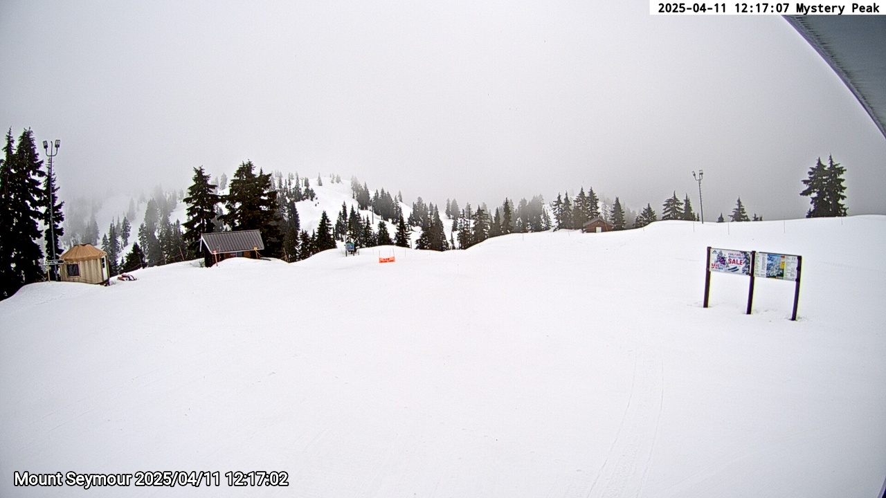 Webcam frame from Mount Seymour at 2025/04/11 12:00