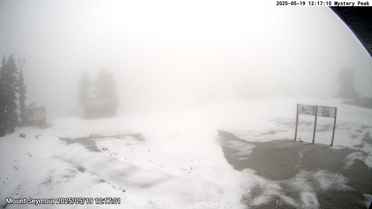 Webcam frame from Mount Seymour at 2025/05/19 12:00