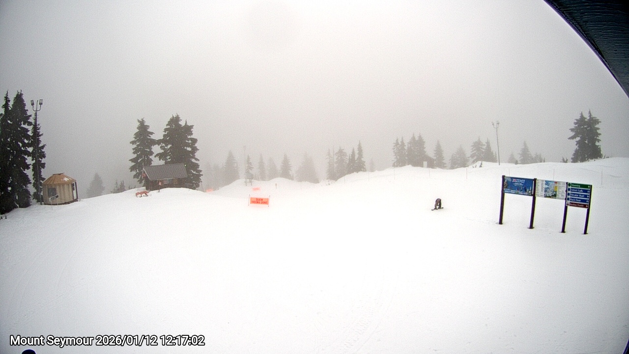 Webcam frame from Mount Seymour at 2026/01/12 12:00