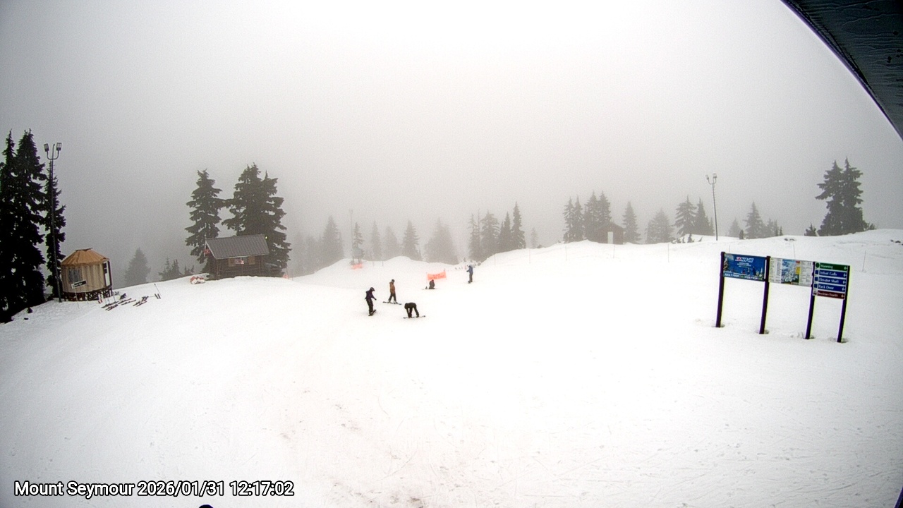 Webcam frame from Mount Seymour at 2026/01/31 12:00