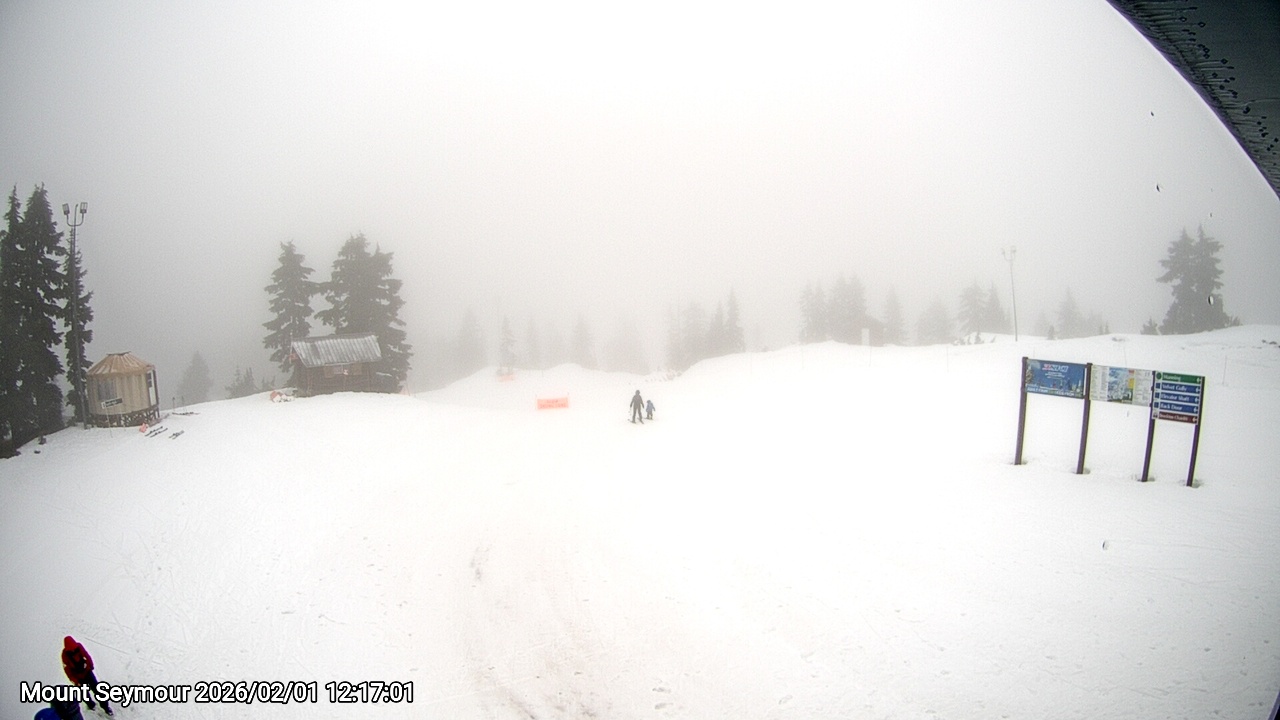 Webcam frame from Mount Seymour at 2026/02/01 12:00