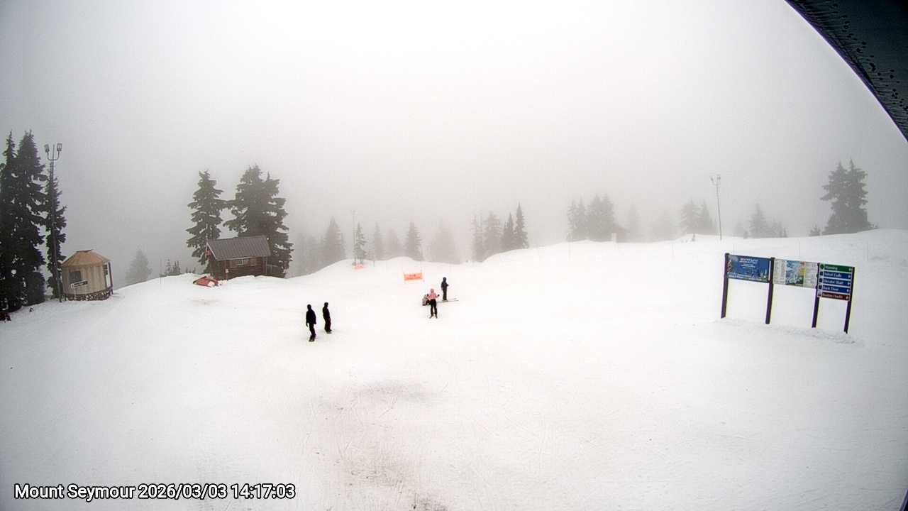 Webcam frame from Mount Seymour on 2026/03/03