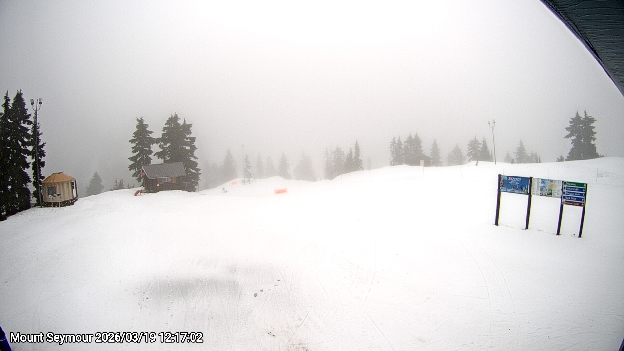 Webcam frame from Mount Seymour at 2026/03/19 12:00