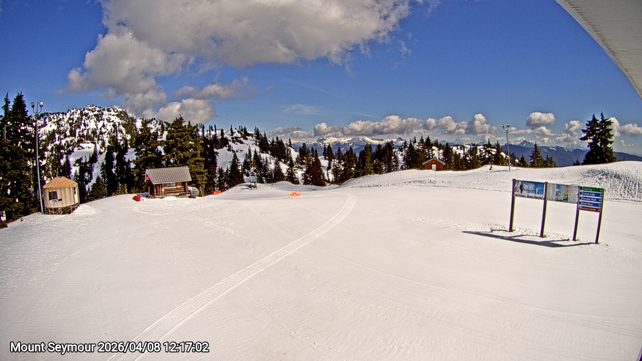 Webcam frame from Mount Seymour at 2026/04/08 12:00