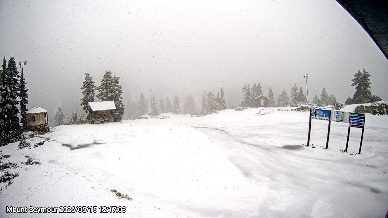 Webcam frame from Mount Seymour at 2026/05/15 12:00