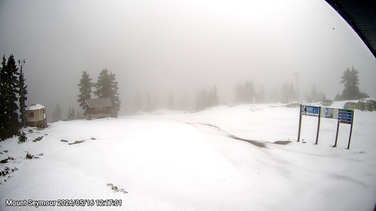 Webcam frame from Mount Seymour at 2026/05/16 12:00